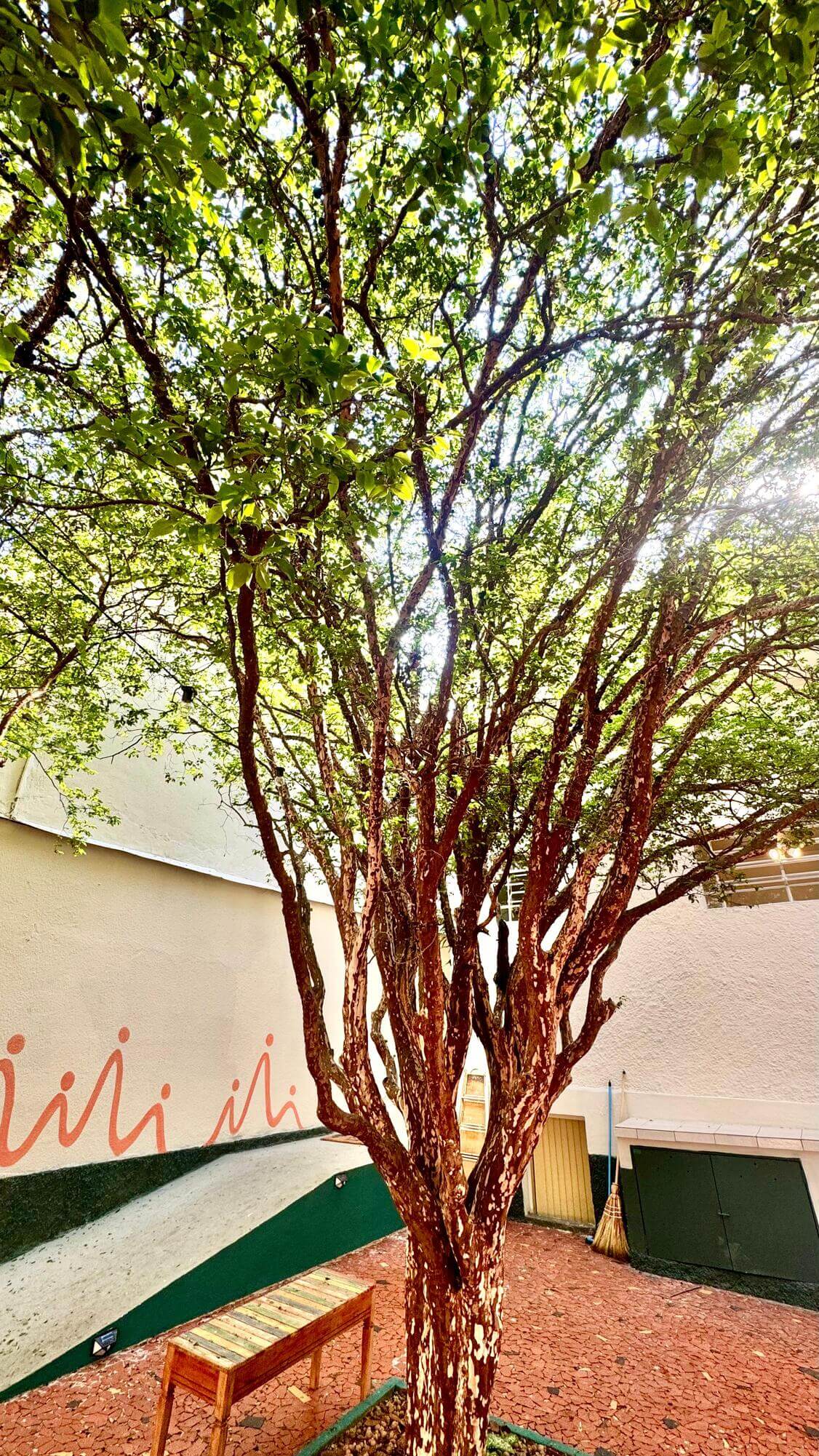 b184c1c4-a28f-4837-b4ac-0db5a918478b